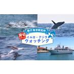 体験チケット 貸切 イルカ クジラウォッチング