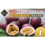 果物類 2027年発送 農薬不使用 奄美完熟パッションフルーツ