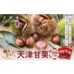 fu.... налог фрукты вид каштан Kyoto (столичный округ) Kyoto city { предшествующий предварительный заказ 2026 год 9 месяц последняя декада ~ отправка } жарение установить небо Цу сладкие каштаны 300g×3 пакет l Kyoto сладкие каштаны популярный [ небо Цу сладкие каштаны природа ... природа еда внутренний...