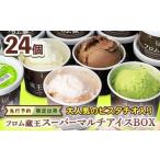 ショッピングふるさと納税 アイス ふるさと納税 菓子 アイス 宮城県 白石市  先行予約 限定出荷 大人気のピスタチオ入り フロム蔵王スーパーマルチアイスBOX24個 | アイス セット 詰め合わせ 期…