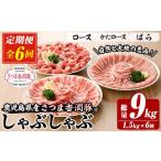 豚肉 しゃぶしゃぶ 6か月定期便 さつま香潤豚