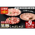 豚肉 しゃぶしゃぶ 6か月定期便 恵味の黒豚