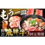 牛肉 すき焼き 定期便 贅沢 飛騨牛 もう一皿