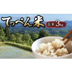 玄米 令和8年産 コシヒカリ 3kg