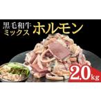 ふるさと納税 牛肉 ホルモン 宮崎県 小林市 宮崎県産ミックスホルモン 500g×4P 計2kg（牛肉 肉 ホルモン 黒毛和牛 もつ鍋 焼肉 鍋）