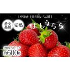 ふるさと納税 いちご 福島県 伊達市 完熟いちご ほしうらら 約600g いちご イチゴ 苺 デザート フルーツ 果物 くだもの 果実 食品 F21C-298