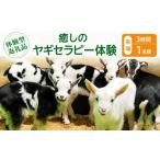 体験チケット 体験型返礼品 癒しのヤギセラピー体験