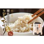 ふるさと納税 玄米 岐阜県 郡上市 コシヒカリ こしひかり 玄米 5kg 農家直送 2025年産 令和7年産 お米 コメ こめ ご飯 14000円