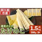 野菜類 真空パックたけのこ 約1.5kg