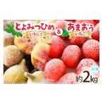 果物の詰合せ フルーツ 冷凍 あまおう よみつひめ