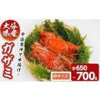 ふるさと納税 カニ 大分県 宇佐市 あおがざみ(計650g~700g・中サイズ7~12匹) ワタリガニ　蟹 ボイル 海鮮 かに 冷凍 101901900 上野水産 中サイズ(7〜12匹)