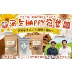 加工品等 HAPPY 福袋 白菊芋まるごと満喫3種セット