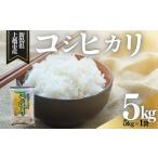ふるさと納税 米 コシヒカリ 新潟県 上越市  3月下旬配送 上越市産 新潟 コシヒカリ 5kg こしひかり お米 精米 米 ご飯