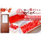 菓子 アイス 嬉しい苺づくしの2種わくわくセット