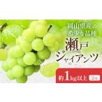 瀬戸ジャイアンツ 1kg以上