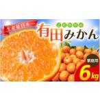 ふるさと納税 果物類 みかん 和歌山県 紀美野町  2027年1月発送予約分 ＼光センサー選別／ 農家直送 家庭用 こだわりの有田みかん 約6kg＋150g(傷み補償分) 先…