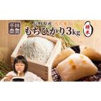 米 パン もち米 R8年産 平林農園 もちひかり