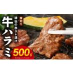ふるさと納税 牛肉 ホルモン 大阪府 泉佐野市  お試し 牛ハラミ肉 500g 薄切り スライス 小分け 訳あり サイズ不揃い 秘伝の赤タレ漬け 焼肉 牛肉