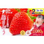 ショッピングふるさと納税 いちご ふるさと納税 いちご 福岡県 鞍手町  2ヶ月定期便 いちご あまおう 先行予約 いちご大量 540g ふるさと納税 フルーツ 苺 旬 訳あり 数量限定 ふるさと納税 不…