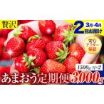 いちご 2ヶ月定期便 あまおう 約1500g