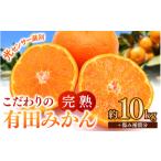 ふるさと納税 果物類 みかん 和歌山県 由良町 ご家庭用 こだわりの 有田 みかん 10kg＋150g(傷み補償分) 1月発送予定 ／ 温州みかん 光センサー選別 柑橘 甘い…