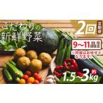セット 詰合せ 野菜 定期便 こだわりの新鮮野菜
