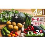 セット 詰合せ 野菜 定期便 こだわりの新鮮野菜