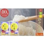米 令和7年産 超稀少品種 かぐや姫 精米 合計 10kg