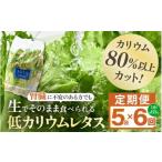 セット 詰合せ 定期便 6ヶ月連続お届け 機能性×美味しさ