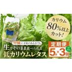 セット 詰合せ 定期便 3ヶ月連続お届け 機能性×美味しさ