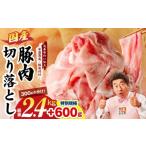 ふるさと納税 豚肉 炒め物 大阪府 泉佐野市  特別規格 国産豚肉 切り落とし 2.4kg+600g 氷温熟成×極味付け 小分け 300g ぶた 普段使い 訳あり サイズ不揃い …