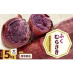野菜類 サツマイモ さつまいも 約5kg