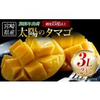 ショッピングふるさと納税 マンゴー ふるさと納税 マンゴー 宮崎県 小林市  2026年発送 先行予約 完熟マンゴー「太陽のタマゴ」 3L×2玉（フルーツ マンゴー 完熟マンゴー アップルマンゴー 果物 …