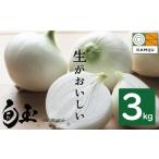 ショッピングふるさと納税 玉ねぎ ふるさと納税 野菜類 玉ねぎ 愛知県 碧南市 (2026年発送) お試し 新玉ねぎ 生がおいしい 神重農産のブランド玉ねぎ「旬玉」3kg ブランド玉ねぎ 玉ねぎ 国産 愛…