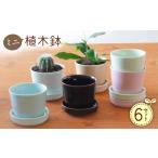 波佐見焼 ミニ植木鉢 カラー 6色セット Cheer