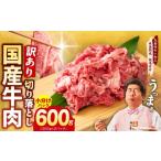 ふるさと納税 牛肉 大阪府 泉佐野市 国産牛 切り落とし 600g 小分け 300g×2P 氷温熟成×極味付け 国産 牛肉 訳あり サイズ不揃い カレー 牛丼 野菜炒め 肉じ…