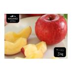 ふるさと納税 りんご 長野県 松川町 MS14-26A 先行予約 りんご サンふじ（長野県産秀品）約3kg ／ 2026年11月下旬〜12月中旬頃 配送予定 ／／ 長野県 南信州 …