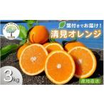 みかん 柑橘類 オレンジ 2026 5 6まで
