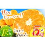 ふるさと納税 果物類 みかん 熊本県 玉名市 訳あり 2L くまもと みかん 約 5kg | 果物 みかん くだもの みかん フルーツ みかん 柑橘 みかん 柑橘類 みかん ミ…
