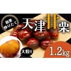 fu.... налог фрукты вид каштан префектура Hyogo город Kobe без добавок крупный небо Цу сладкие каштаны 1.2kg Okinawa префектура * отдаленный остров рассылка не возможно 