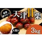 fu.... налог фрукты вид каштан префектура Hyogo город Kobe без добавок крупный небо Цу сладкие каштаны 3kg Okinawa префектура * отдаленный остров рассылка не возможно 