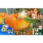 果物類 みかん 紅モンスター マコポン 12玉