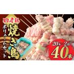 鶏肉 焼き鳥 ボリュームセットD 20本入×2箱