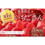 ショッピングふるさと納税 いちご ふるさと納税 いちご 佐賀県 上峰町  赤い宝石 佐賀県産いちごさん（240gx2P）計480g 数量限定 A-123-AS 240g×2パック 6,000円