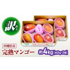 訳あり 完熟マンゴー 約4kg