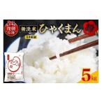 ふるさと納税 無洗米 石川県 輪島市  2026年5月配送 無洗米 令和7年産 石川県オリジナル米「ひゃくまん穀」5kg（精米）wa006-015-05 2026年5月発送