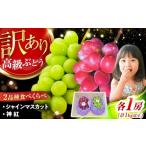 ふるさと納税 ぶどう マスカット 島根県 雲南市  2026年先行予約 8月初旬頃から順次発送 訳あり 神紅・シャインマスカット 各1房 計1kg以上 島根県雲南市／池…