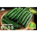 野菜類 秀品 キュウリ1箱Мサイズ5kg