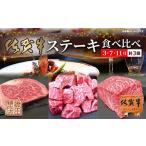 牛肉 ステーキ 佐賀牛 A5ランク ステーキ定期便