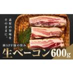 肉 加工食品 生ベーコン 600g